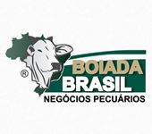 Boiada Brasil 